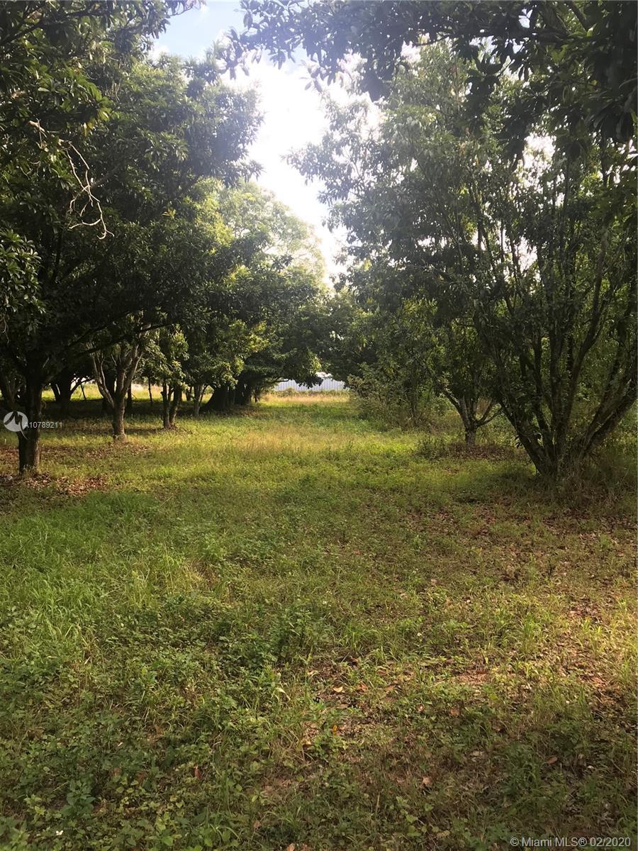 264 Street 190 Ave, Homestead FL 33031 photo 3