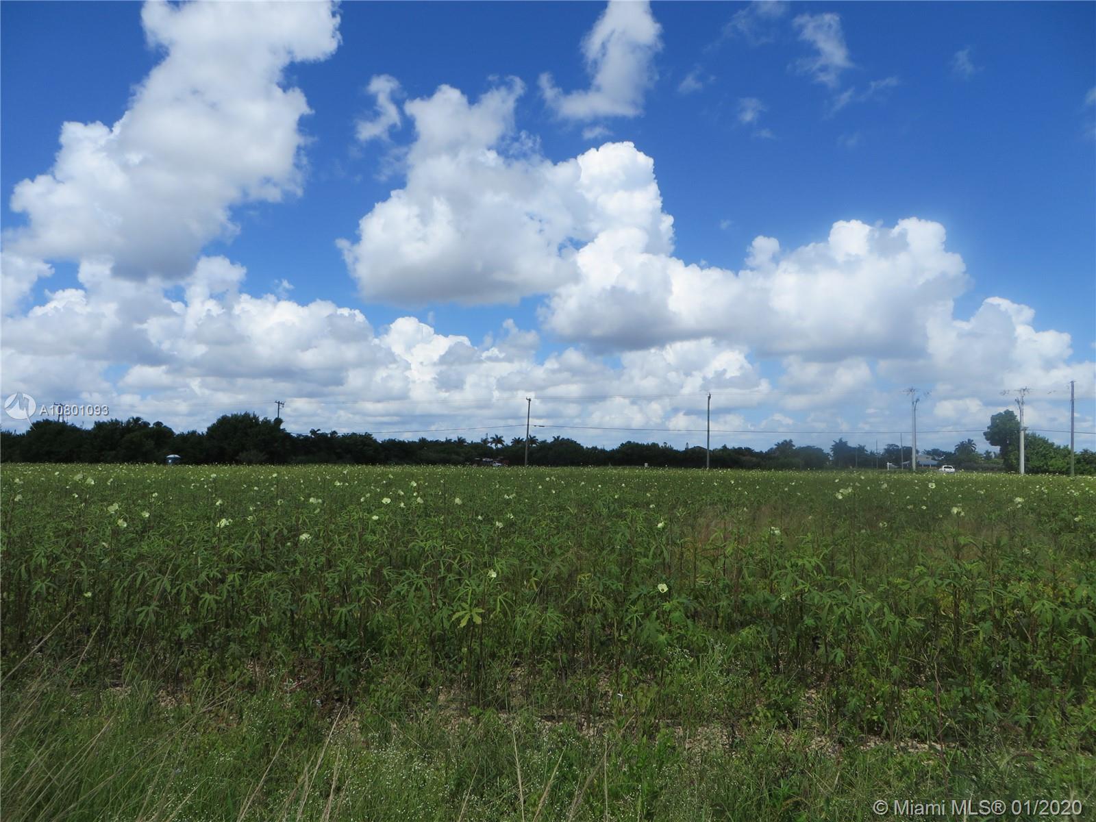 24010 SW 212 Ave, Miami FL 33031 photo 4