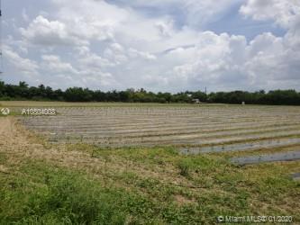 Homestead, FL 33031 photo 2