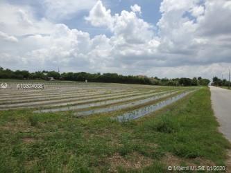 Homestead, FL 33031 photo 5