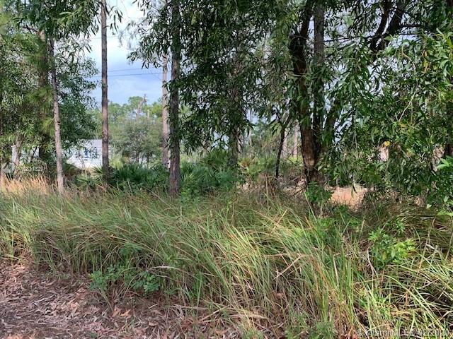 7896 2nd Terrace, La Belle FL 33935 photo 2