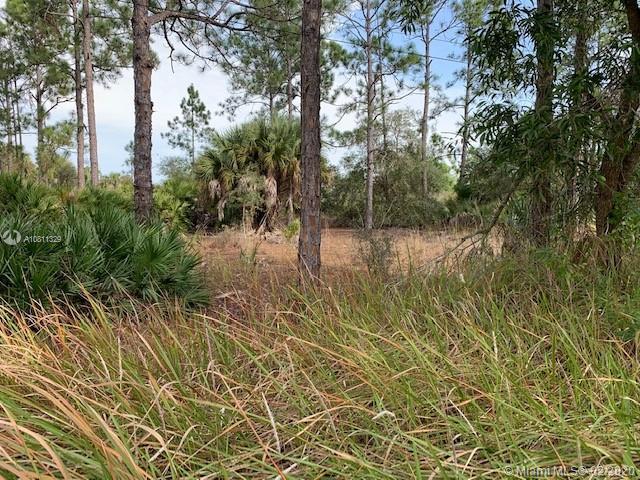 7896 2nd Terrace, La Belle FL 33935 photo 3