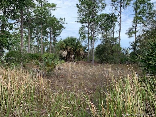 7896 2nd Terrace, La Belle FL 33935