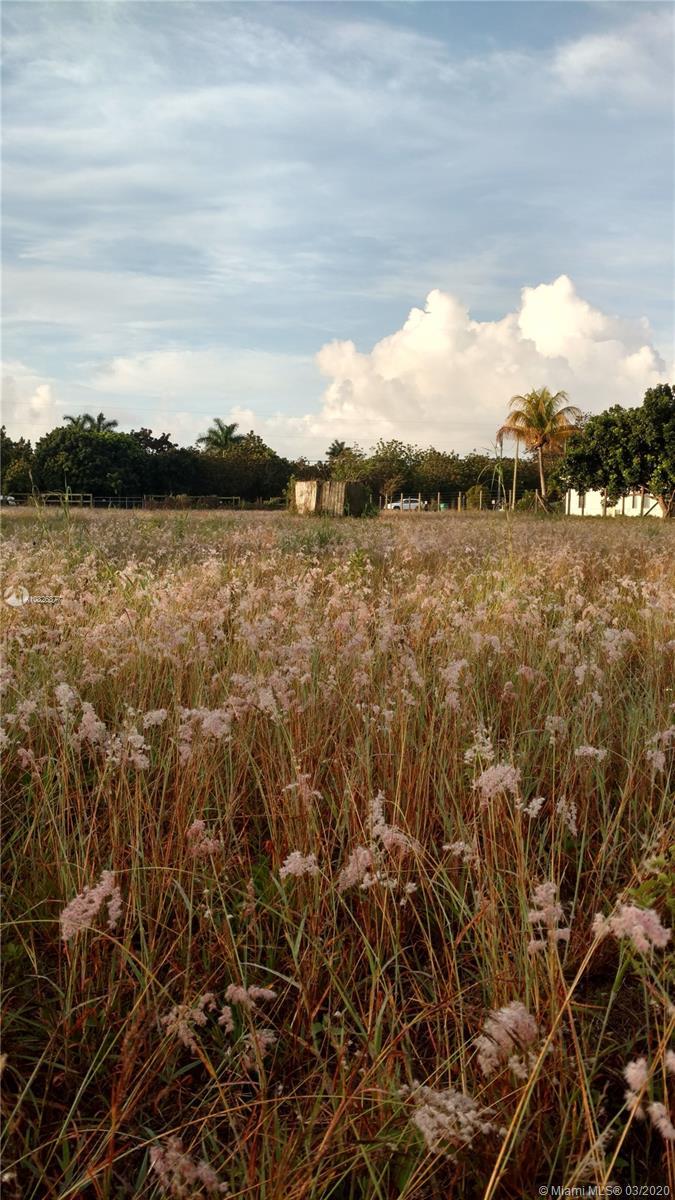15835 SW 242 st, Homestead FL 33031 photo 5