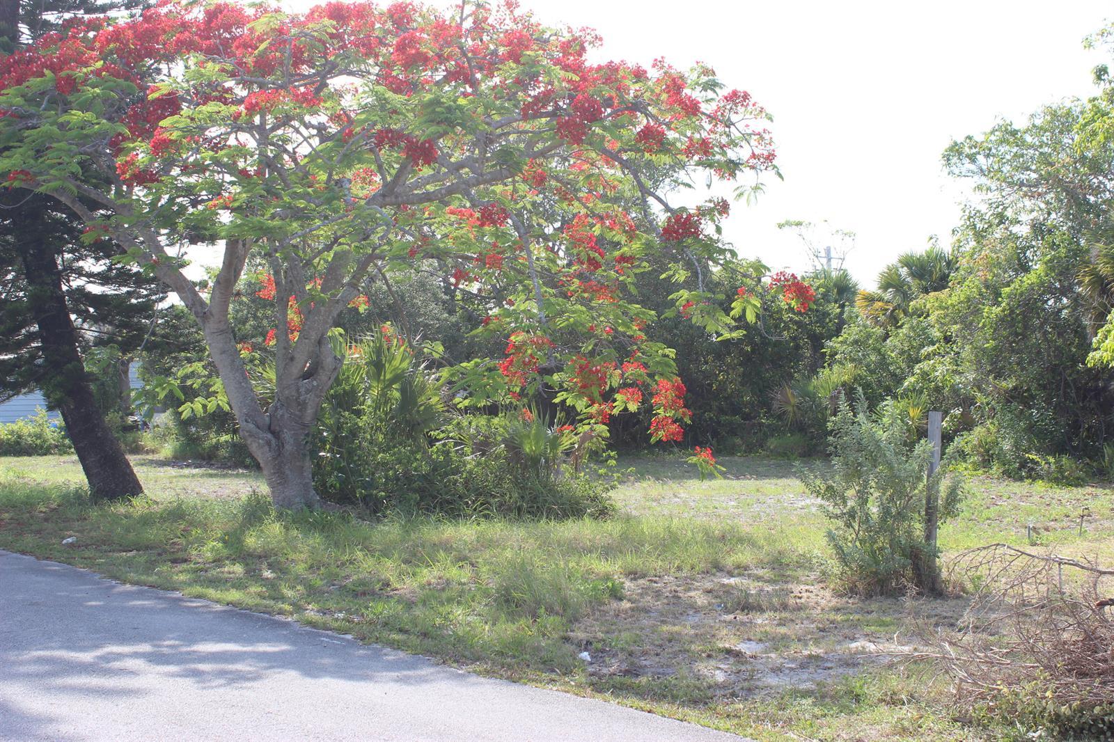 8375 SE Allamanda Way, Hobe Sound FL 33455