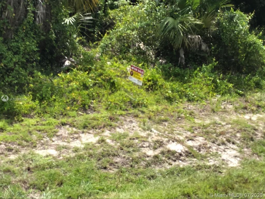 5005 E Hummingbird Dr, La Belle FL 33935 photo 4