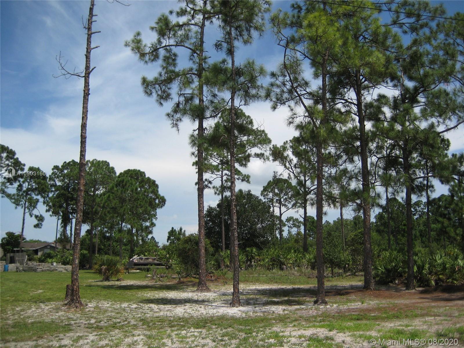 314 Leroy Ave, Lehigh Acres FL 33936 photo 2