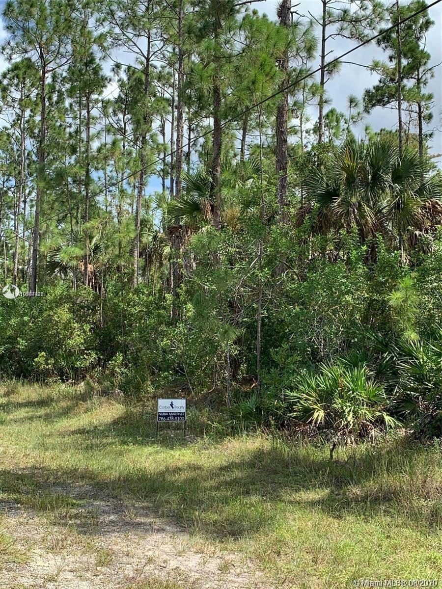 16th AVE NE NAPLES FL GOLDEN GATE EST UNIT 75 NORTH HALF OF TRACT 103, Naples FL 34120 photo 3