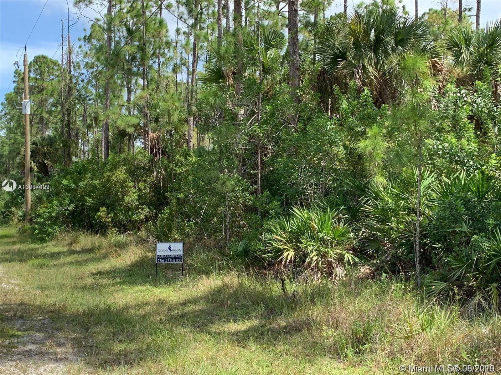 16th AVE NE NAPLES FL GOLDEN GATE EST UNIT 75 NORTH HALF OF TRACT 103, Naples FL 34120 photo 4