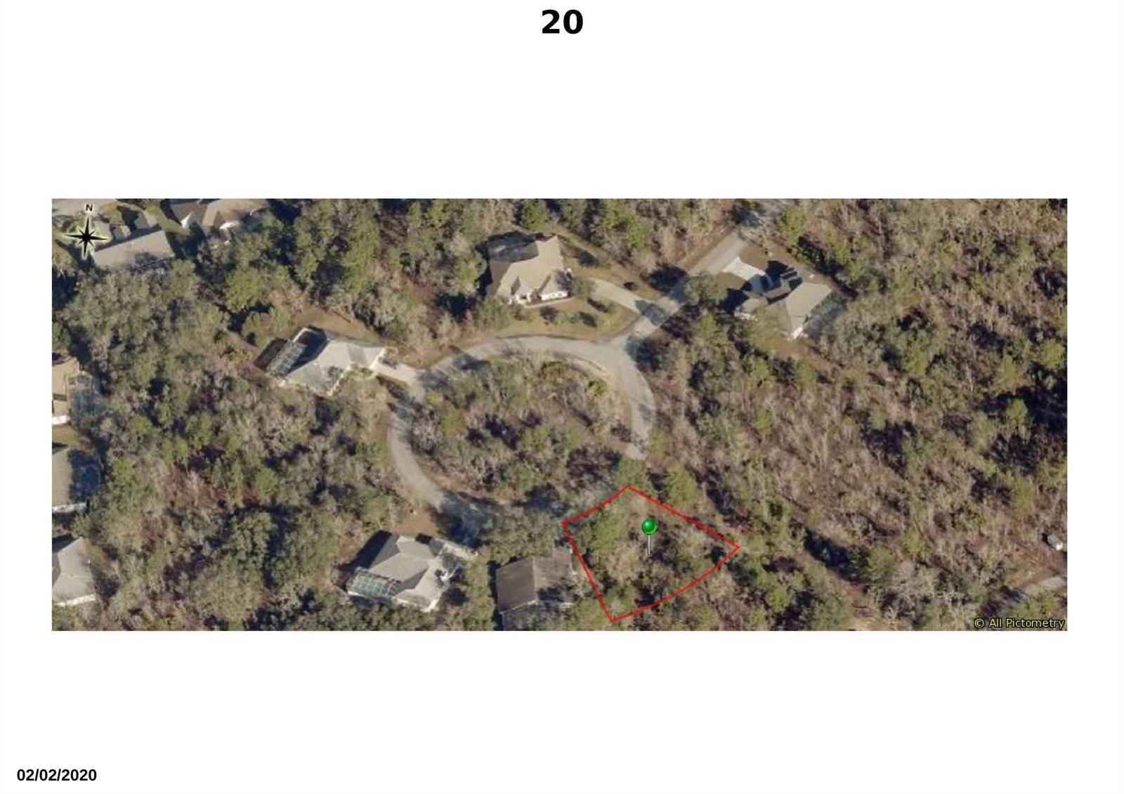 20 Dahlia Court S, FL 34446 photo 3
