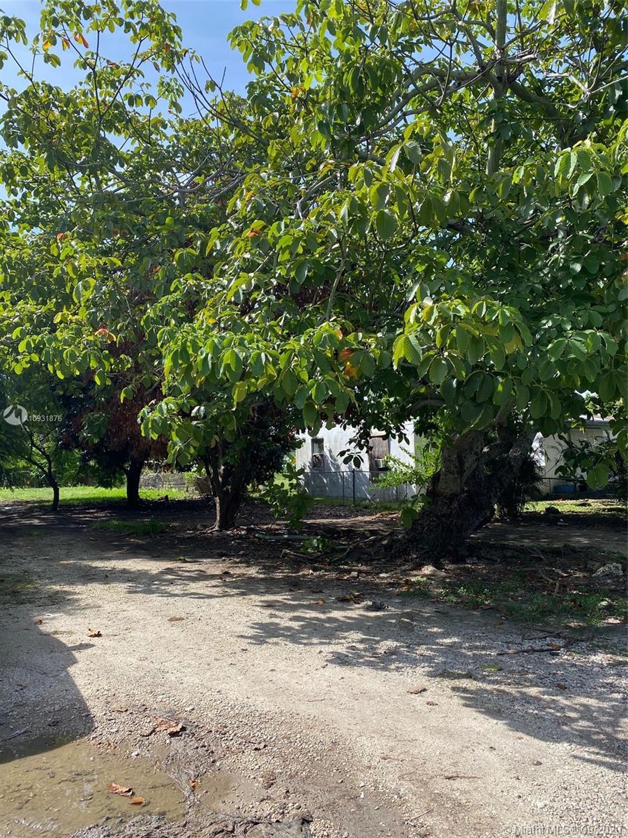 Mowry DR NW 7th Ave, Homestead FL 33030 photo 3