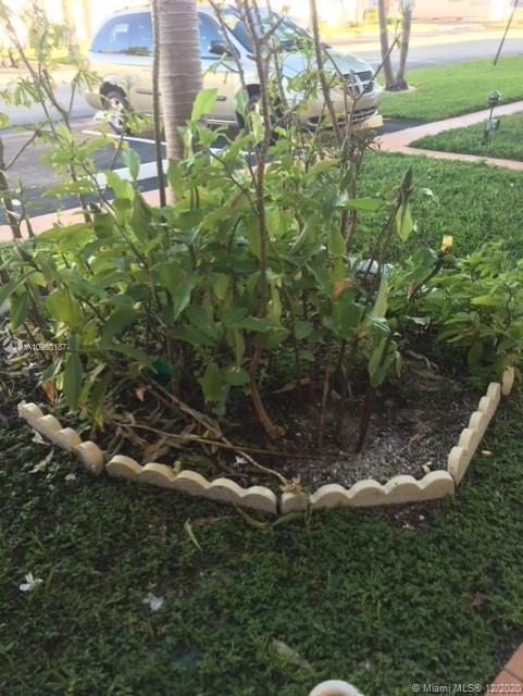 Hallandale Beach, FL 33009 photo 3