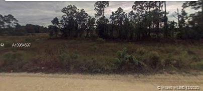 17190 Balfour ter, Fort Myers FL 33913