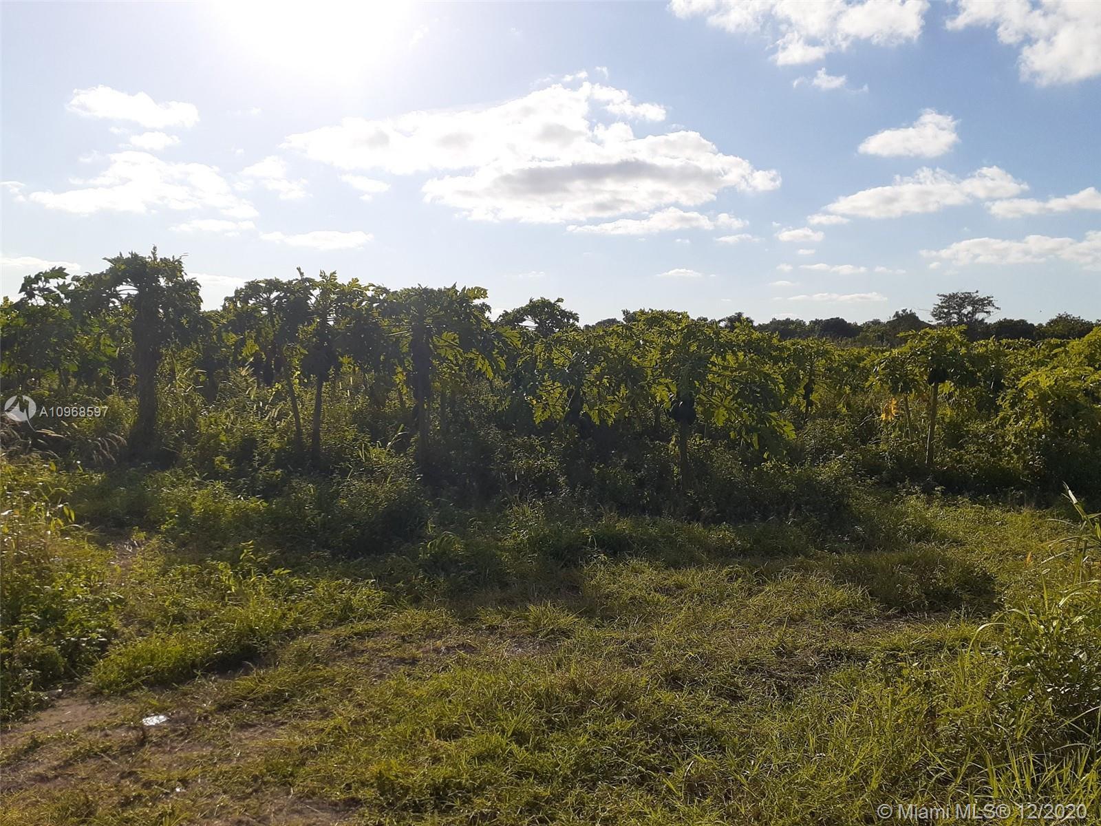 S.W.152nd St SW 164th Rd, Miami FL 33187 photo 2