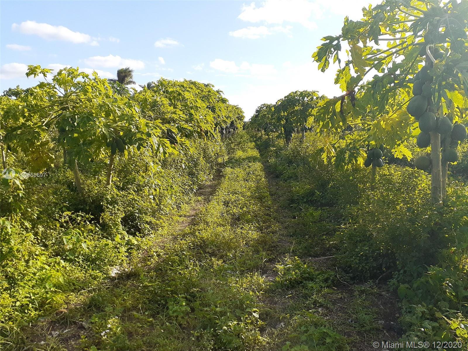 S.W.152nd St SW 164th Rd, Miami FL 33187
