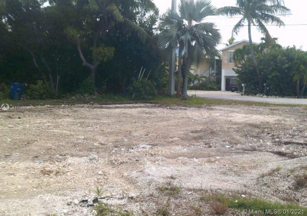 22945 Teach Ln, OTHER FL Key FL 33042 photo 3