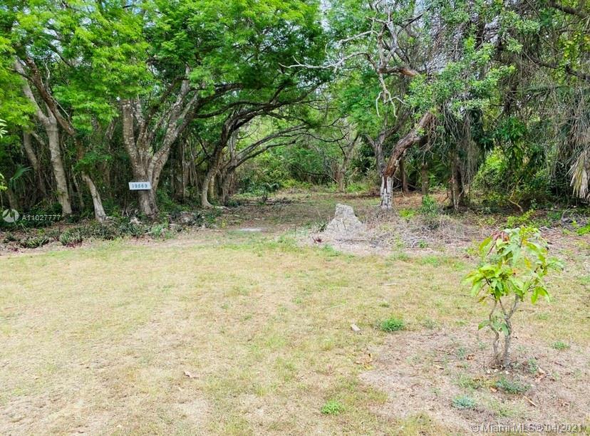 196xx SW 234 St, Homestead FL 33031 photo 4