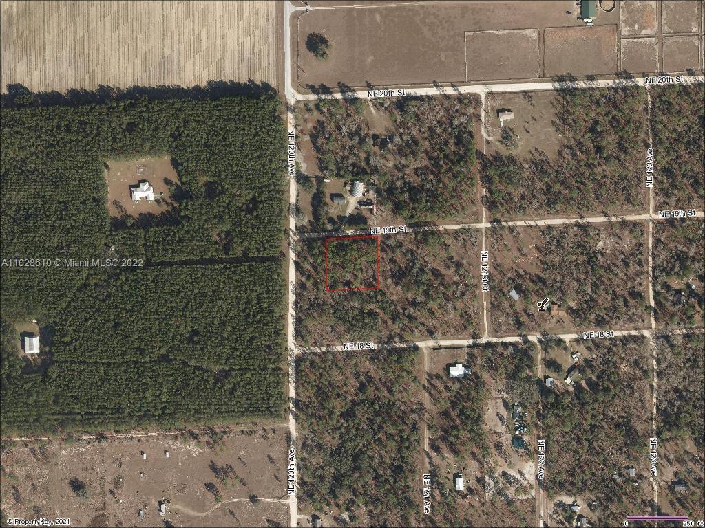 Lot 3 NE 19th St, Other City - In The State Of Florida FL 32696