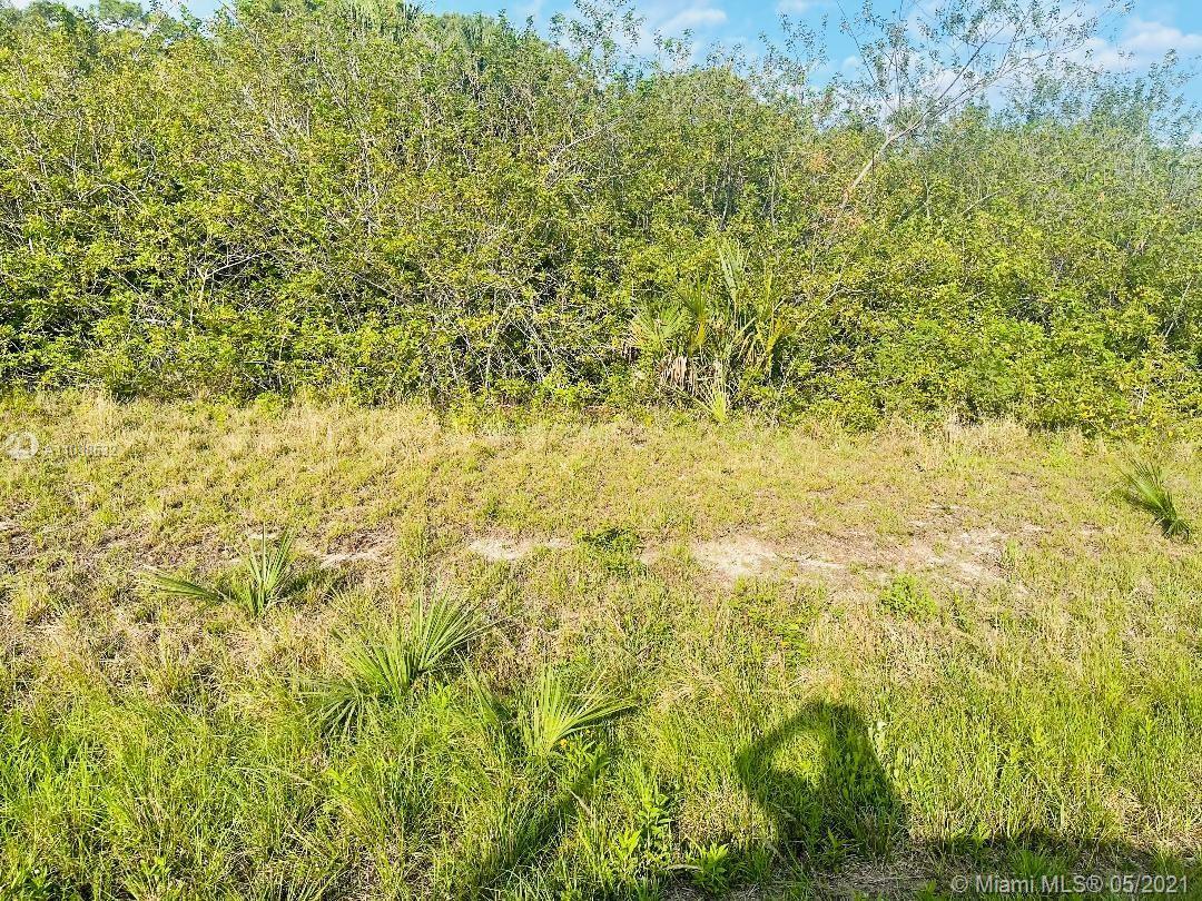 104 Dutch Loop, La Belle FL 33935 photo 3