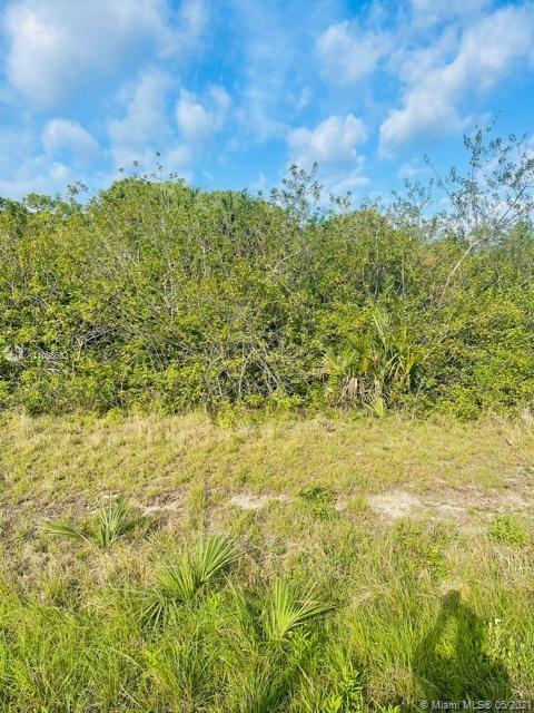 104 Dutch Loop, La Belle FL 33935 photo 4