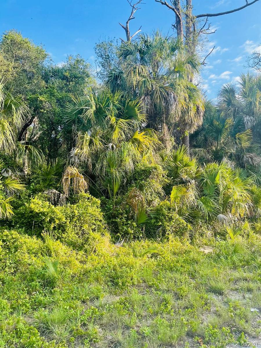 232 sparkle dr, La Belle FL 33935 photo 3