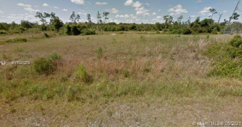 29485 LILLIS ST, Punta Gorda FL 33982 photo 3