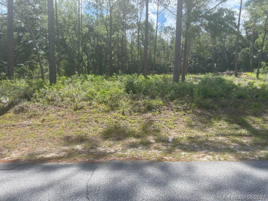 0 Lake Tropicana, Other City - In The State Of Florida FL 34432 photo 5