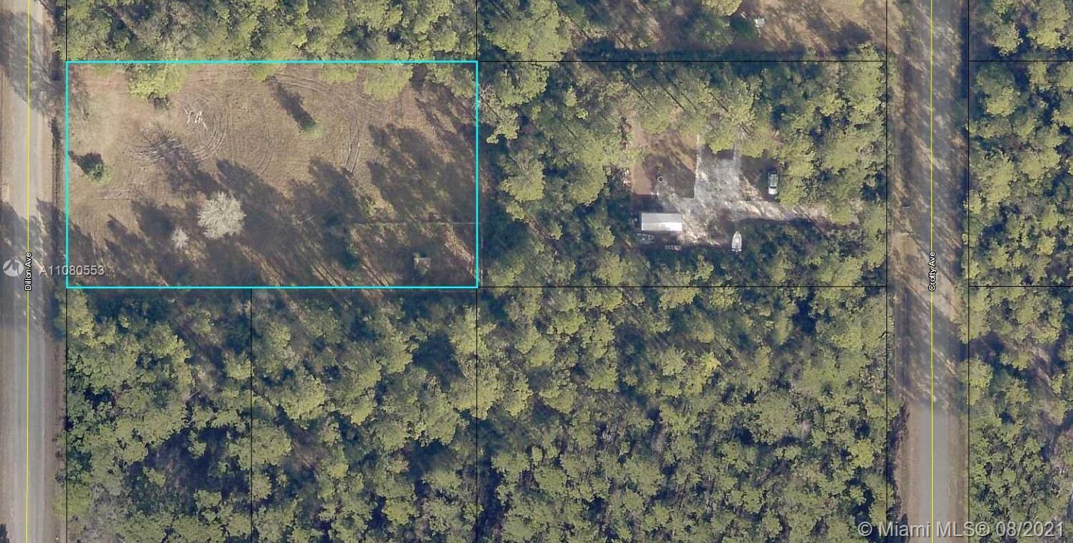 10350 DILLON AVE, Other City - In The State Of Florida FL 32145 photo 2