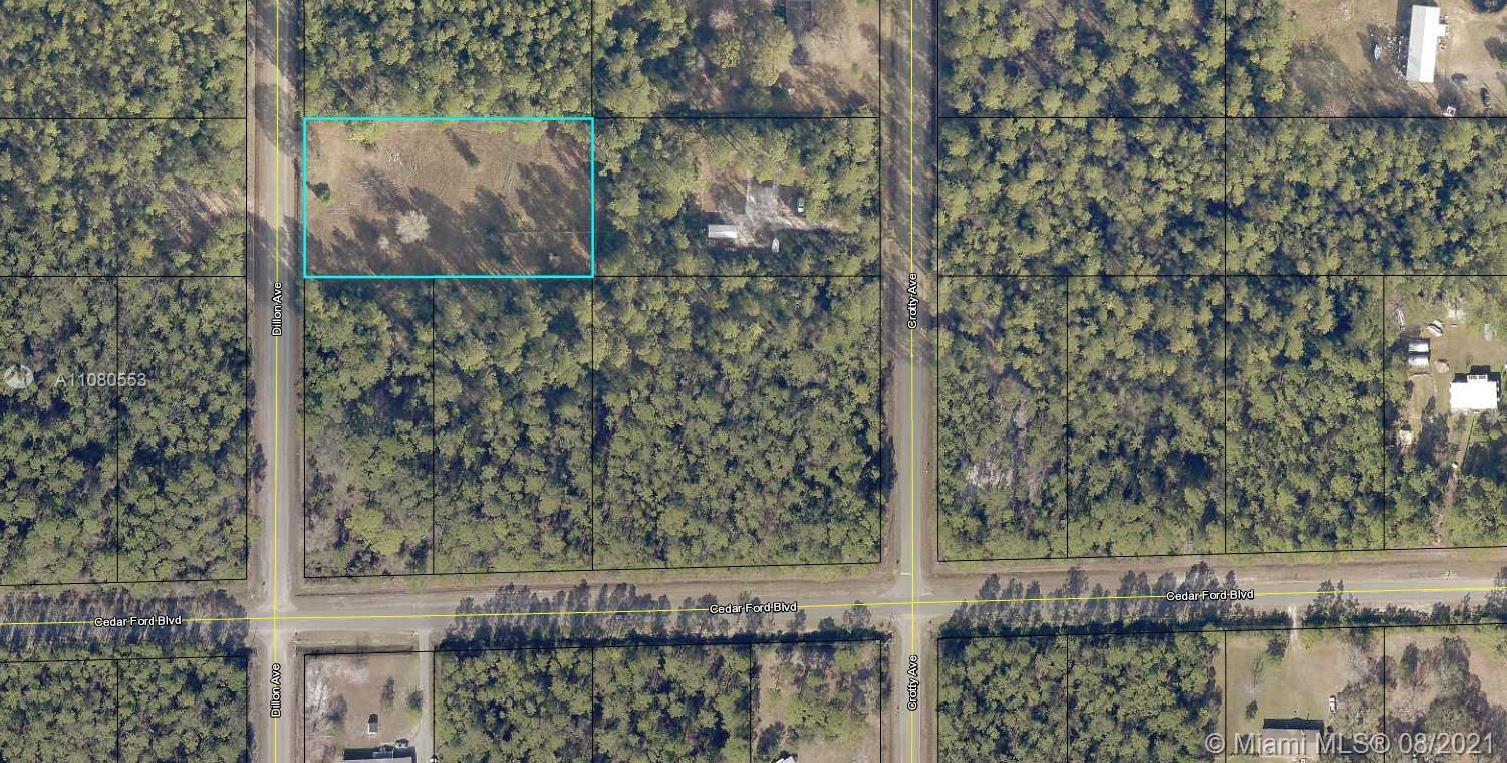 10350 DILLON AVE, Other City - In The State Of Florida FL 32145 photo 3