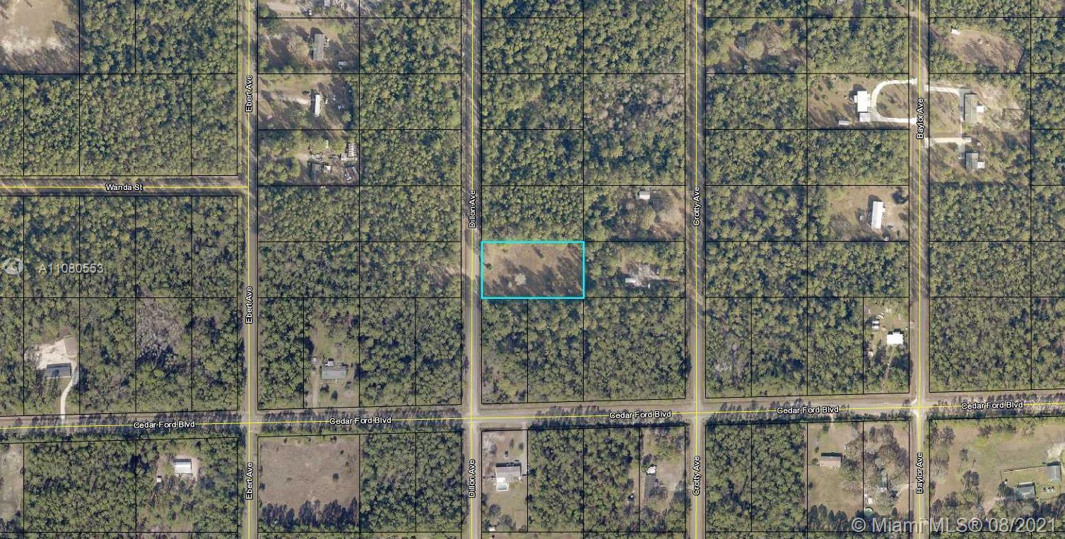 10350 DILLON AVE, Other City - In The State Of Florida FL 32145 photo 4