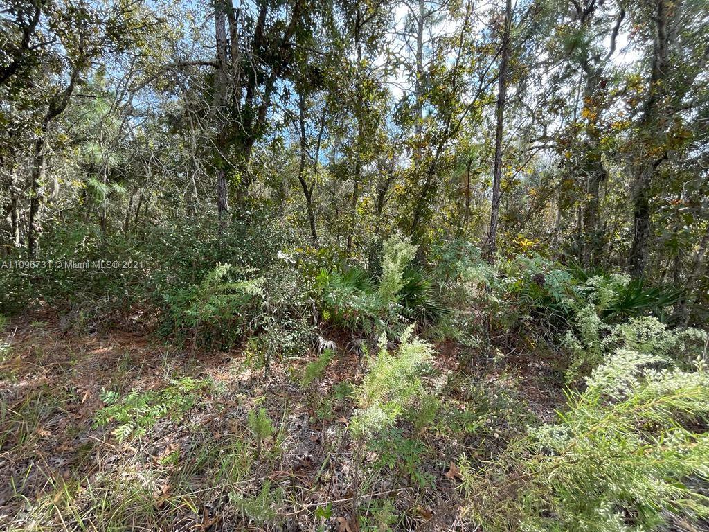 XXX XXX, Other City - In The State Of Florida FL 34473 photo 3