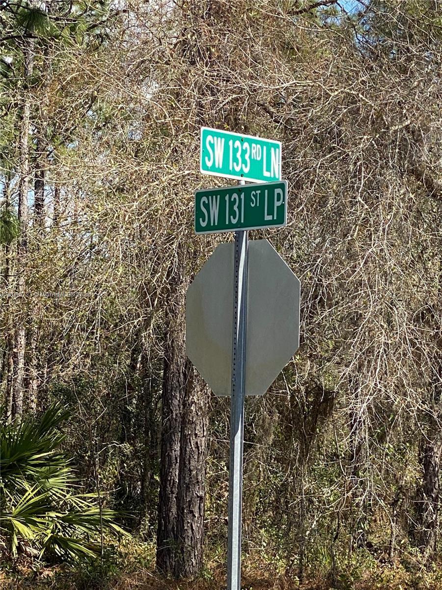 XXX XXX, Other City - In The State Of Florida FL 34473 photo 2