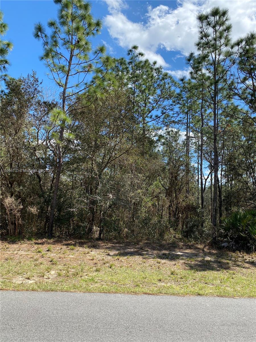 XXX XXX, Other City - In The State Of Florida FL 34473