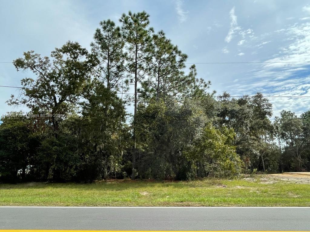 XXX XXX, Other City - In The State Of Florida FL 34473 photo 4