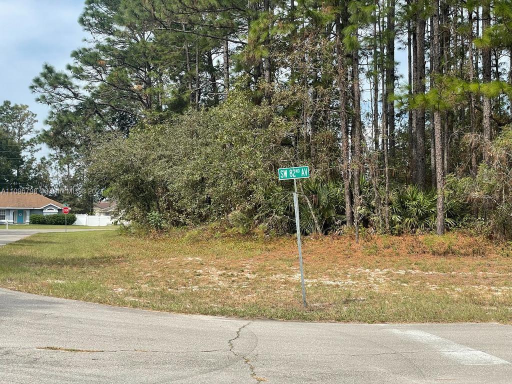 XXX XXX, Other City - In The State Of Florida FL 34473 photo 3