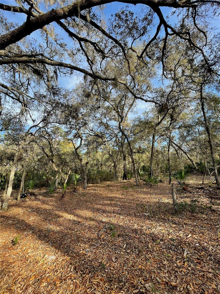 1638 R E Byrd Rd, Other City - In The State Of Florida FL 33843 photo 2