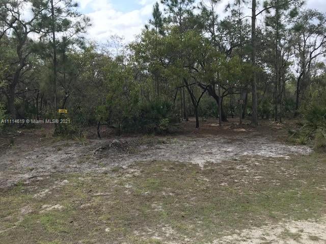 1638 R E Byrd Rd, Other City - In The State Of Florida FL 33843 photo 5