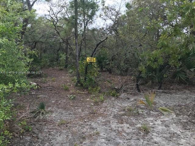 1638 R E Byrd Rd, Other City - In The State Of Florida FL 33843 photo 4