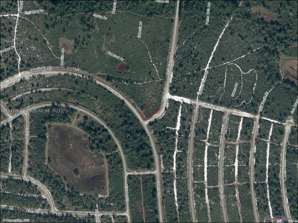 6401 Caballero Blvd, Sebring FL 33872 photo 3