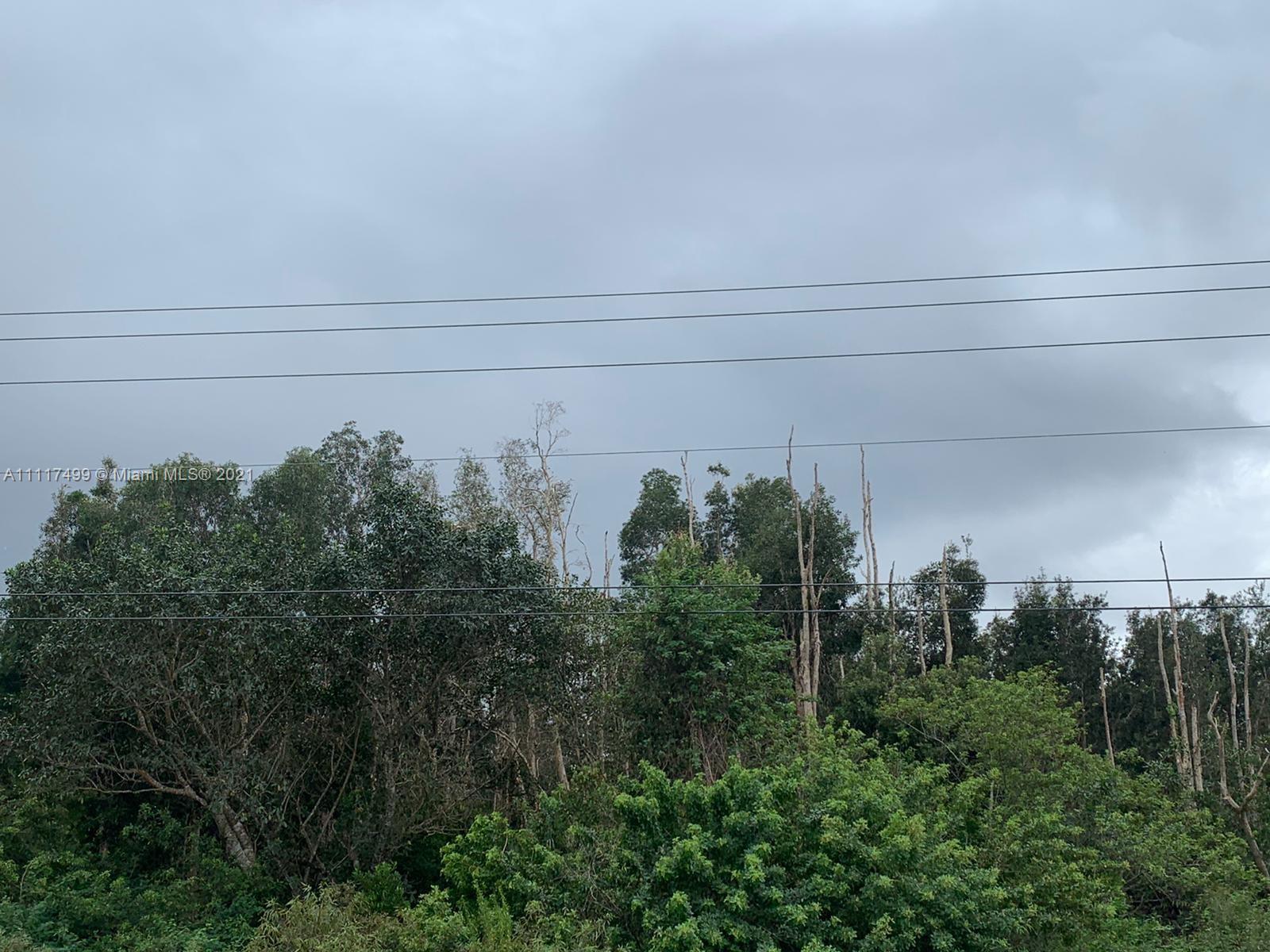 162XX -0140 SW 26 St, Miami FL 33185 photo 3