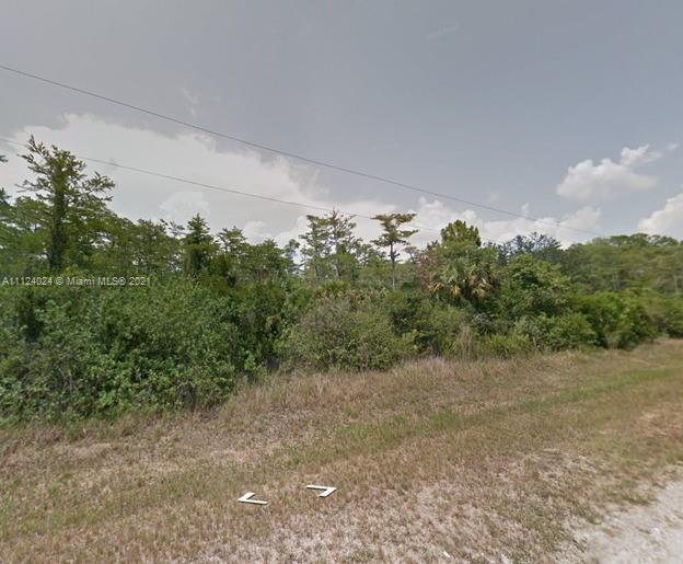 170 45th Ave Ne, Naples FL 34120 photo 2
