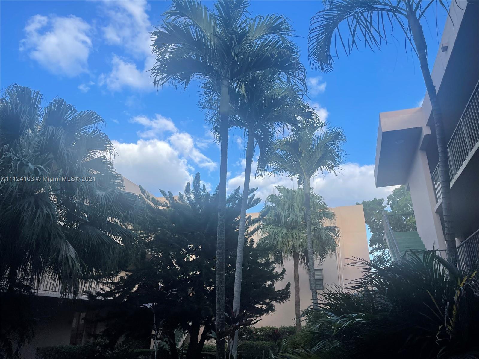 10525 SW 112th Ave # 115, Miami FL 33176 photo 4