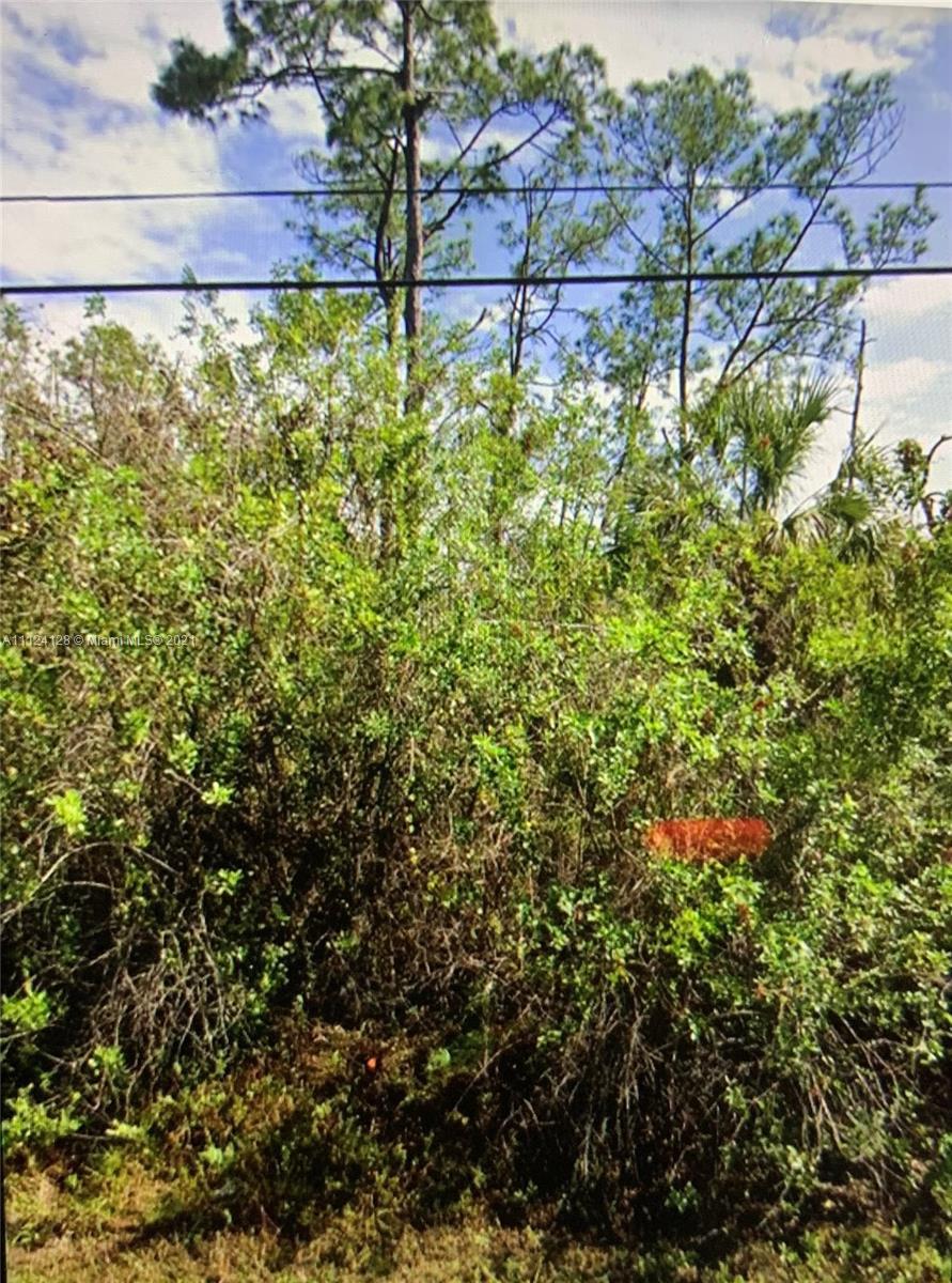 1260 DESOTO BLVD N, Naples FL 34120 photo 3
