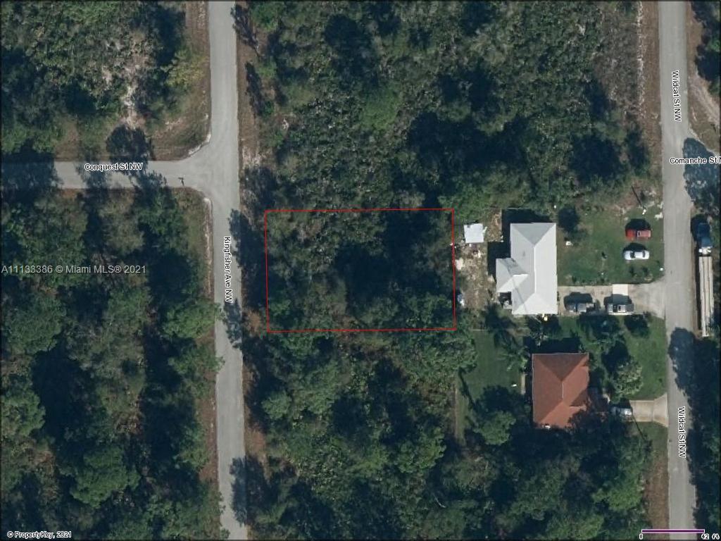 636 Kingfisher Ave NW, Lake Placid FL 33852 photo 2