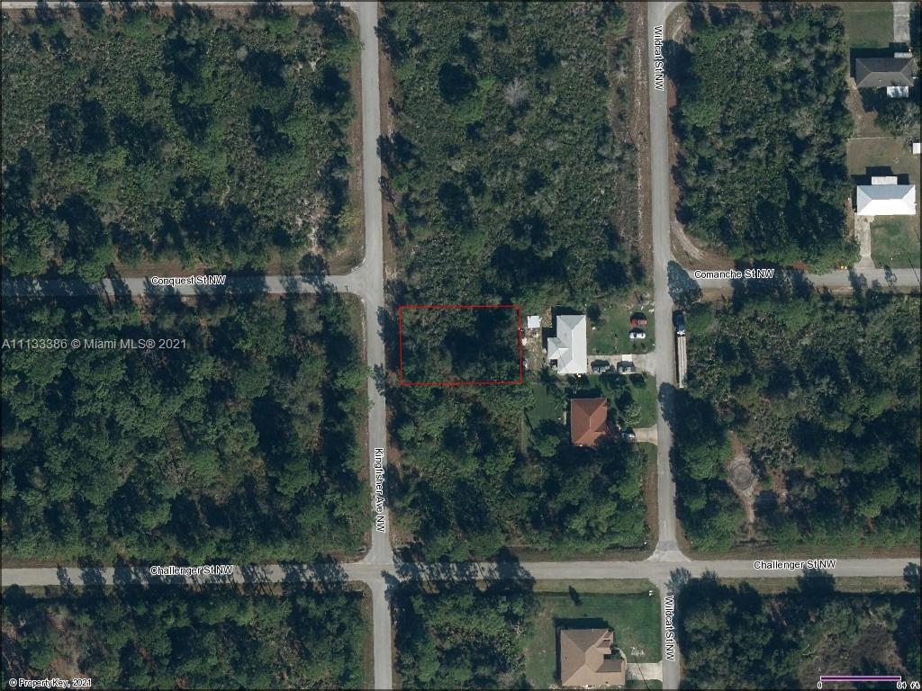 636 Kingfisher Ave NW, Lake Placid FL 33852 photo 3