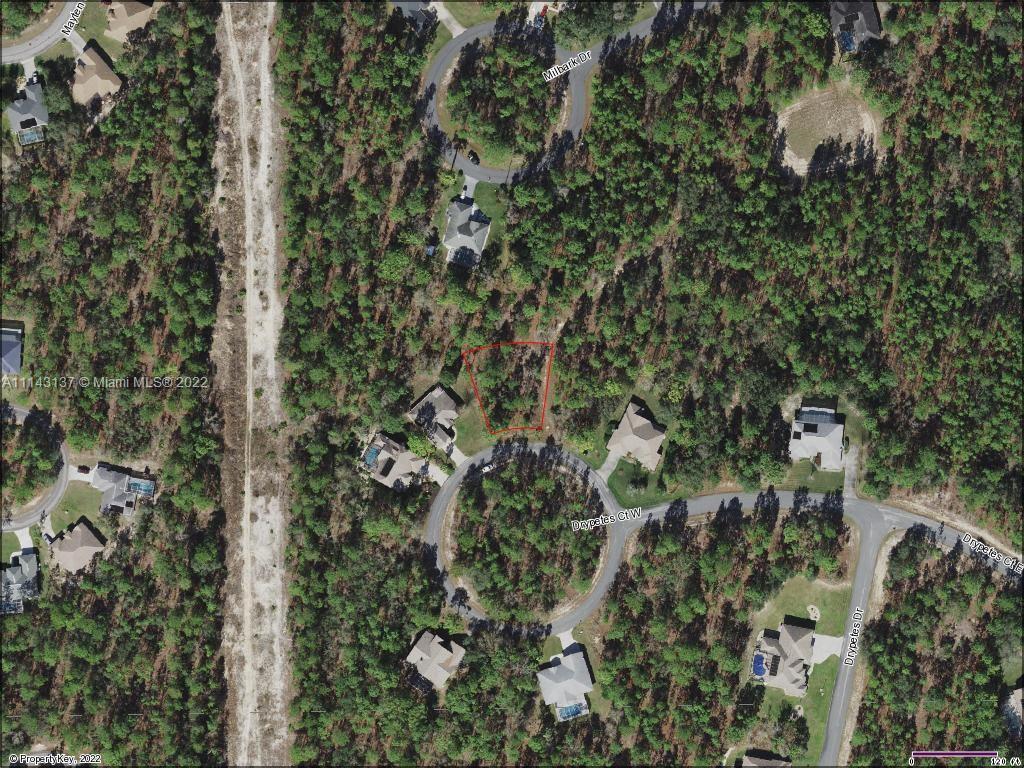 12 W Drypetes Ct, Other City - In The State Of Florida FL 34446 photo 2