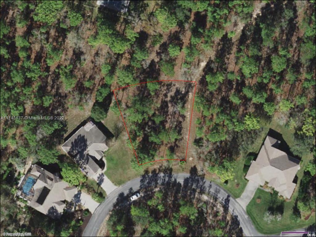 12 W Drypetes Ct, Other City - In The State Of Florida FL 34446