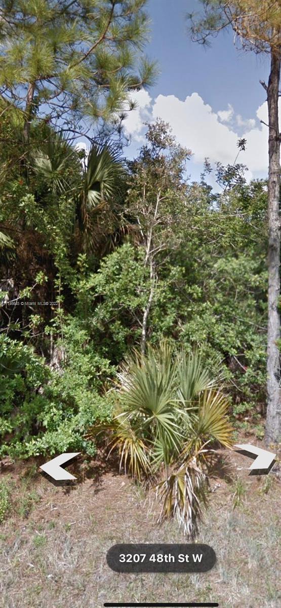 3206 48TH ST W, Lehigh Acres FL 33971 photo 3