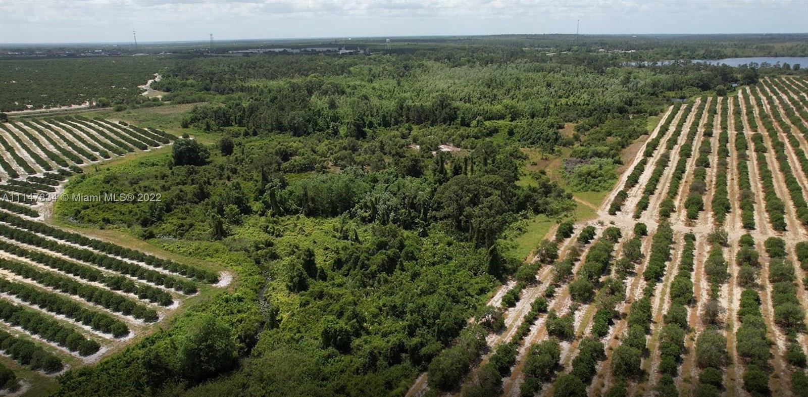 275 S. Bear Pointe Dr., Lake Placid FL 33852 photo 2