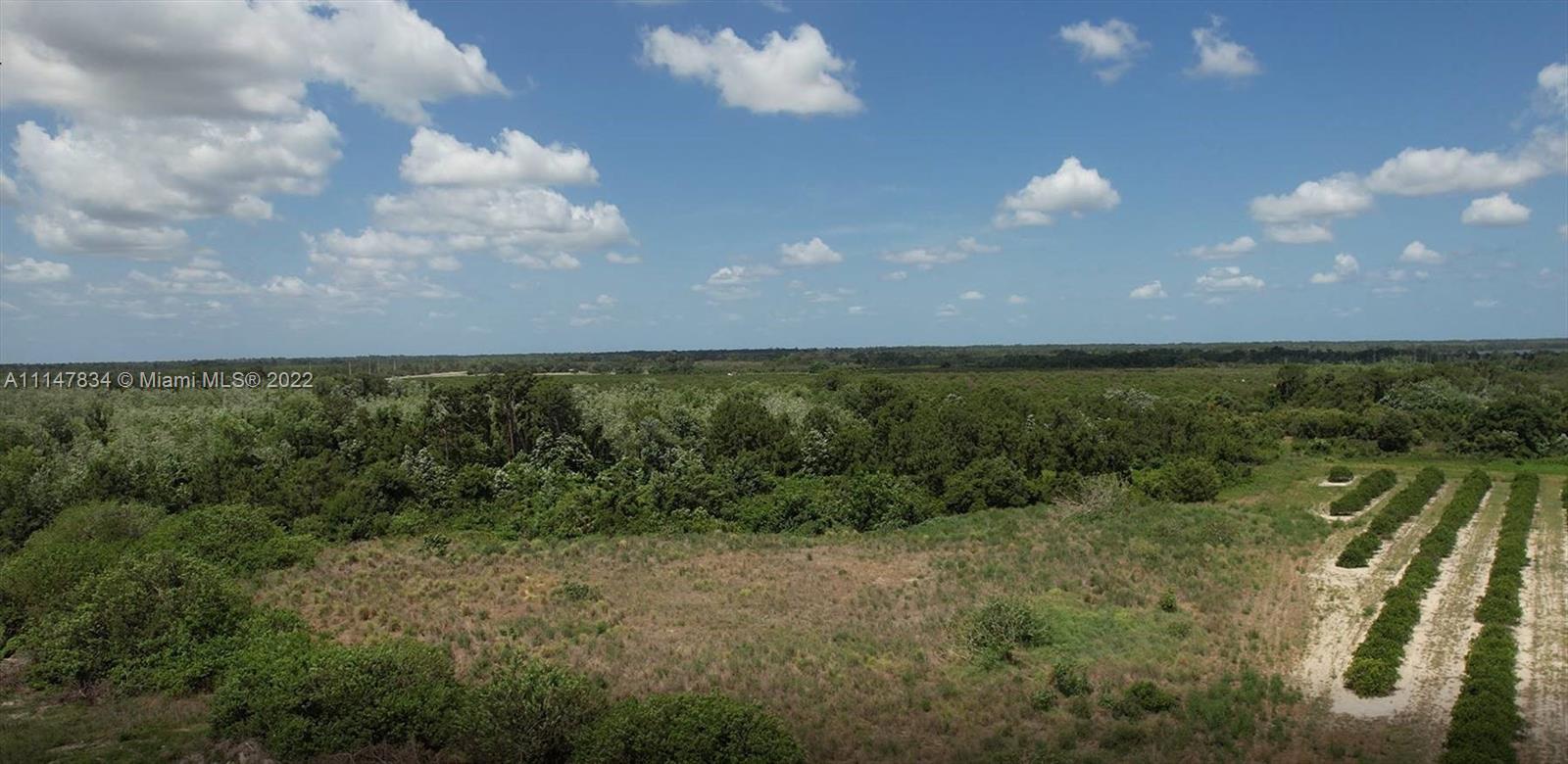 275 S. Bear Pointe Dr., Lake Placid FL 33852 photo 4
